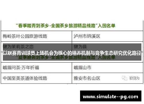 以联赛青训球员上场机会为核心的培养机制与竞争生态研究优化路径