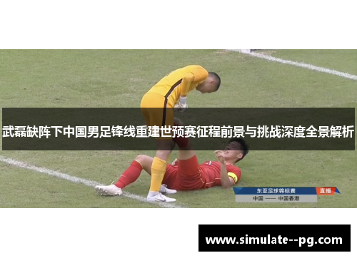 武磊缺阵下中国男足锋线重建世预赛征程前景与挑战深度全景解析